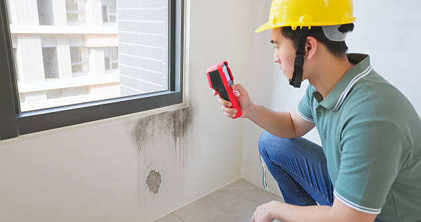 Electronic vs Traditional Leak Detection
